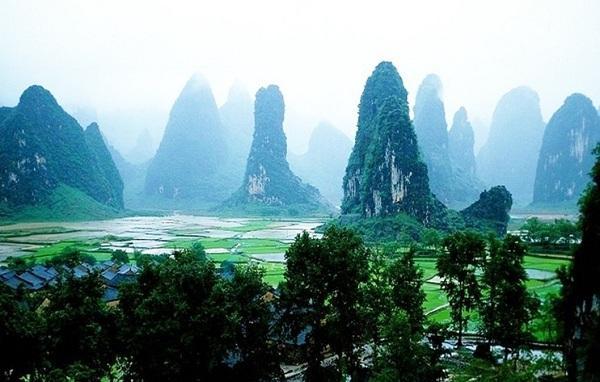 植物大战僵尸17